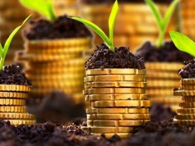 تراز تجارت محصولات کشاورزی همچنان منفی است