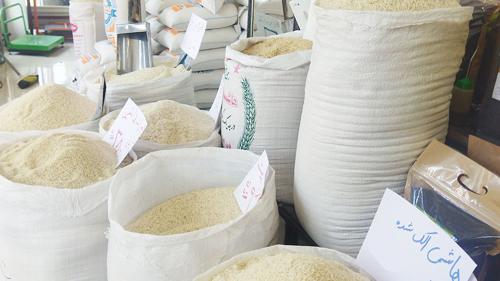 به گزارش برداشت اقتصادی به نقل از تجارت 100: مسعود پورباقی| قیمت برنج ایرانی با رسیدن به مرز هر کیلو 500 هزار تومان رکورد بی‌سابقه‌ای را در تاریخ معیشتی ایرانیان به ثبت رسانده است، خوراکی که تا یکی دو سال قبل پای ثابت سفره طیف وسیعی از خانوارها بود و اکنون اما در حال تبدیل شدن به خوراکی لوکس است که تنها تعداد کمی از خانوارها توان تهیه آن را دارند. جهش قیمتی که نه تنها محصول عوامل فصلی و اقلیمی مانند خشکسالی است، بلکه ریشه در ترکیبی از سیاست‌های ناکارآمد اقتصادی، دلالی سازمان‌یافته و فشارهای ژئوپلیتیکی دارد.