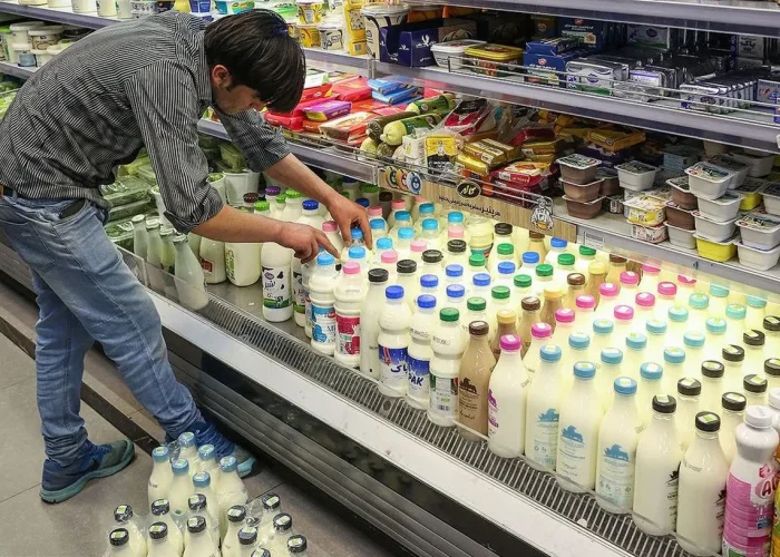 به گزارش برداشت اقتصادی: الهام صادقی| در آخرین روزهای تیرماه سال جاری، علی‌احسان ظفری، مدیرعامل اتحادیه تعاونی‌های لبنی، هشدار داد که حدود ۷۰ درصد قیمت تمام‌شده لبنیات وابسته به نرخ شیر خام است. بلاتکلیفی در تعیین قیمت کارشناسی‌شده، بازار را به سمت بی‌ثباتی سوق می‌دهد، اما این هشدار جدی گرفته نشد و در کنار عواملی مانند کمبود نهاده‌های دامی، افزایش مستمر و خودسرانه بهای لبنیات رقم خورد.